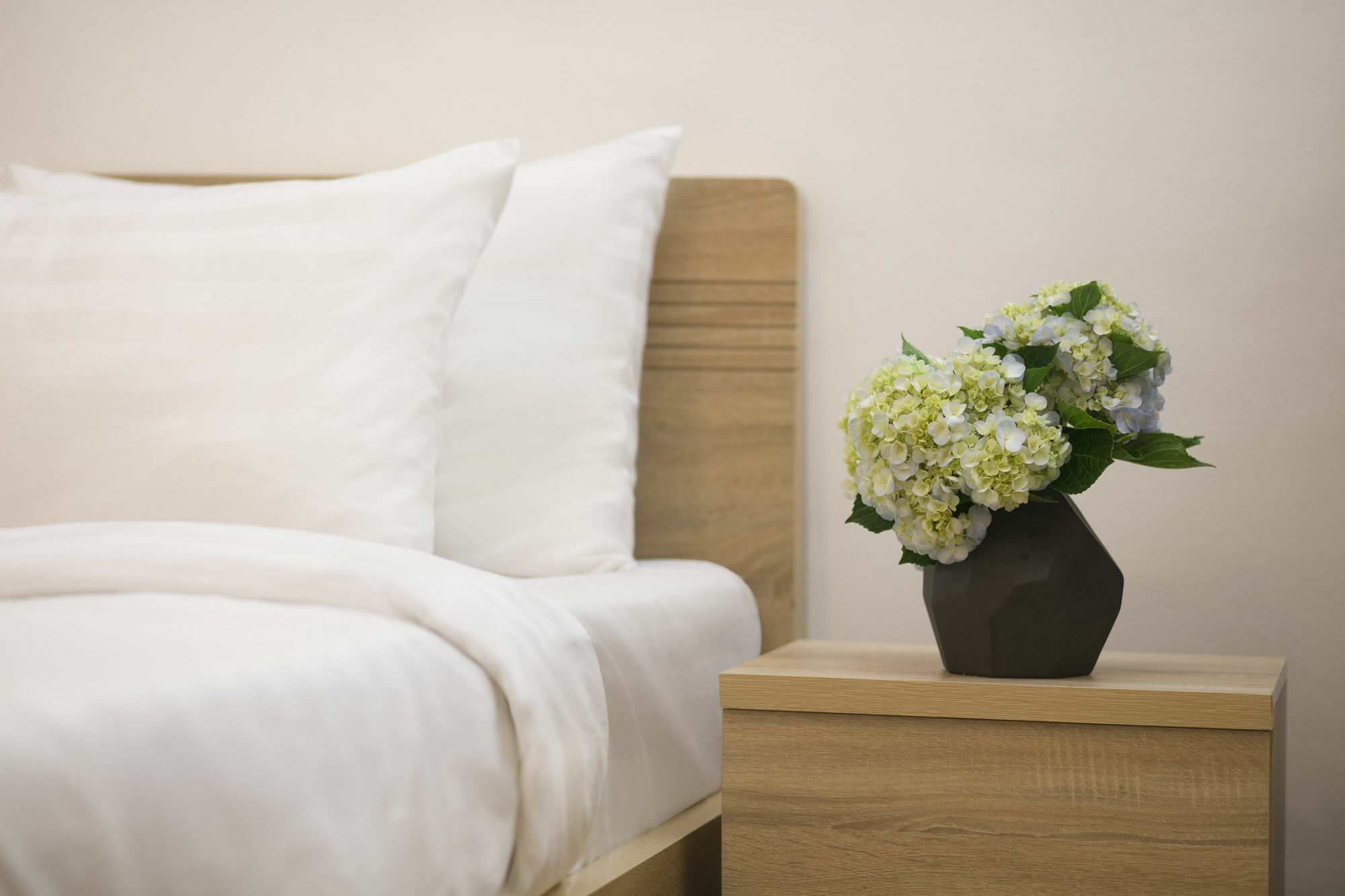 Auberge de jeunesse Backpackersuite Hanoï